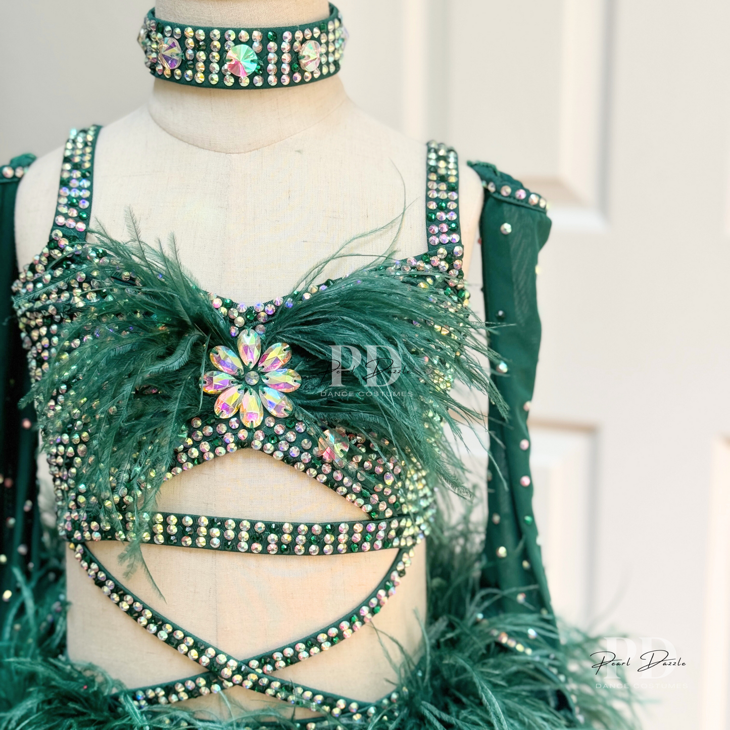 Made to order -Evergreen Customized Jazz Musical Dance Costume