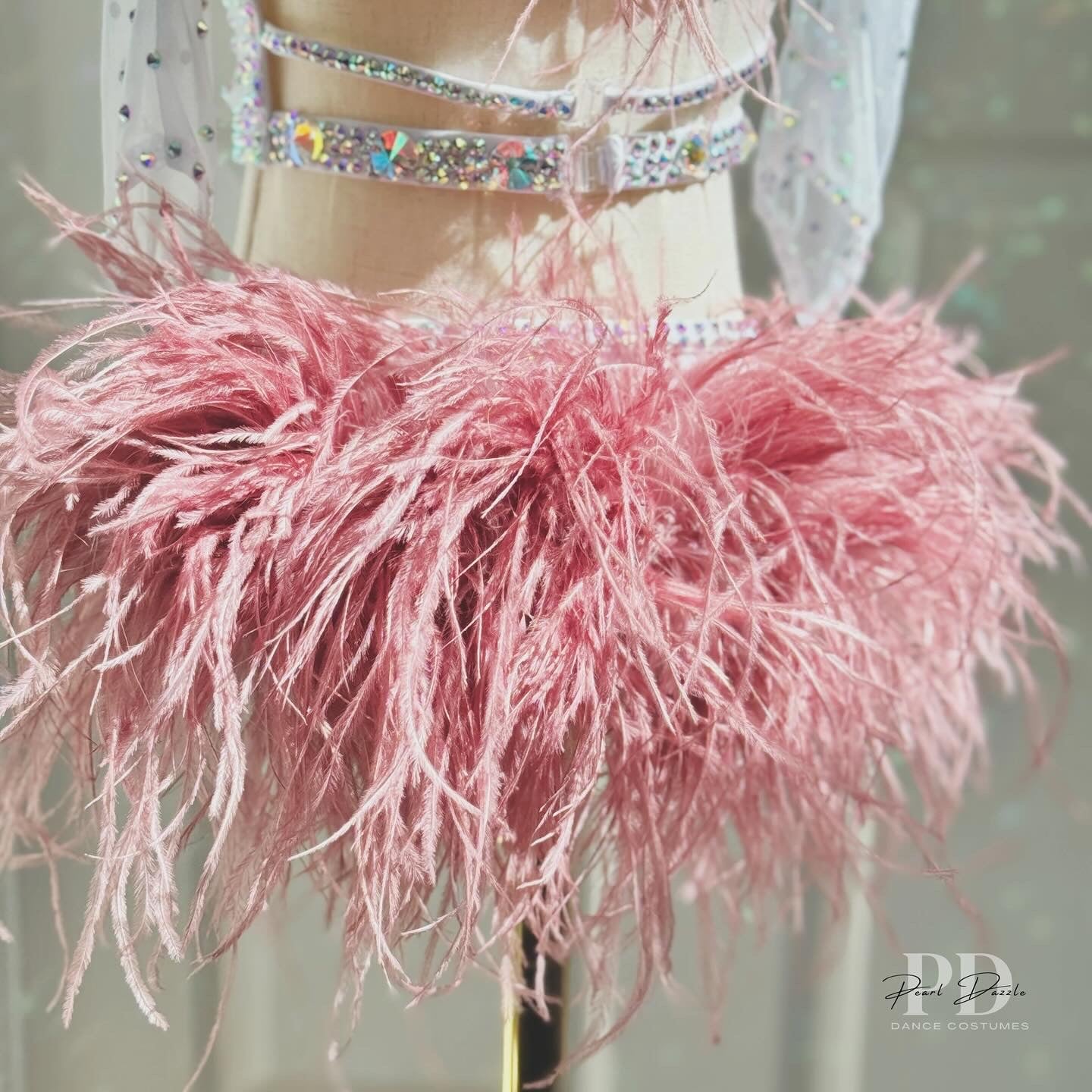 Made to order- Crystal Rose Feathers dance costume