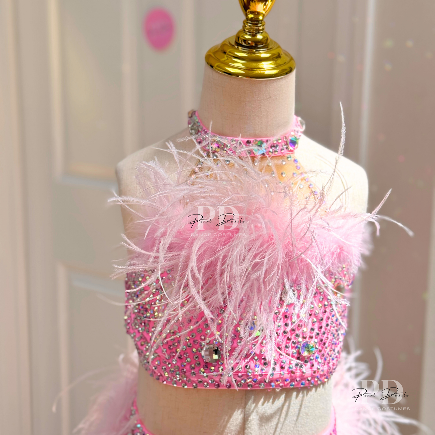 Made to Order Sweet Pink Feather Jazz /Musical Dance Costume